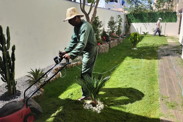 Entretien espaces verts Kenovas Facility
